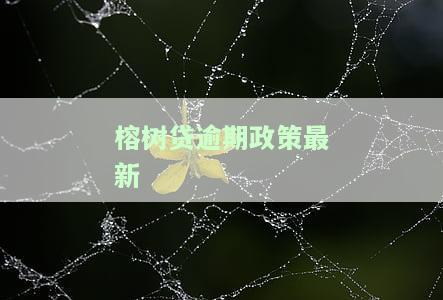 榕树贷逾期政策最新通知：详细信息、图片及是否会被起诉