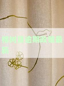 榕树贷逾期政策最新-榕树贷逾期政策最新消息