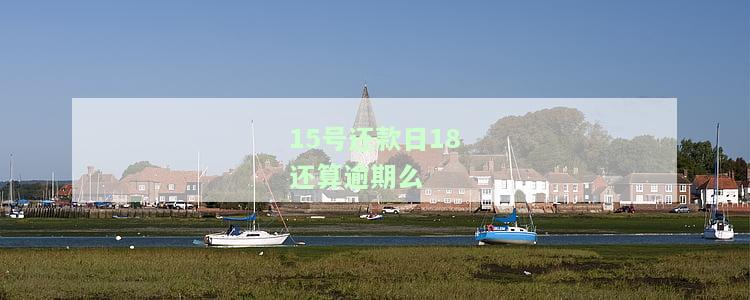 还款日是15号，15号还钱没问题吧？