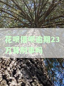 花呗借呗逾期23万是否刑事？处理方法是什么？逾期四个月、总额度20万是否可能坐牢？逾期多久会被起诉？欠款2万是否会被起诉？