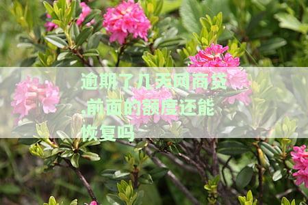 网商贷逾期后还款还有额度吗？影响信用吗？如何处理逾期还款？