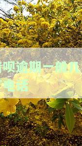 借呗逾期一般几点打电话