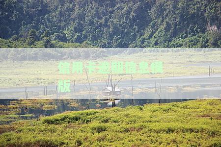 如何撰写详尽的信用卡逾期情况说明及报告