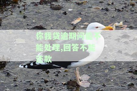 你我贷逾期还款还到催收账上，隔3年后再次被催款，已被起诉？