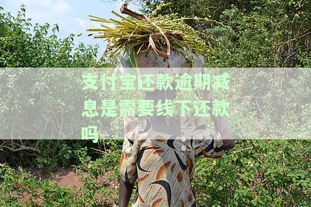 支付宝逾期还款减免利息：真实情况、计算方法及额度全解析