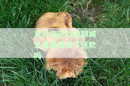 支付宝逾期能减免息吗？真的可以申请减免吗？