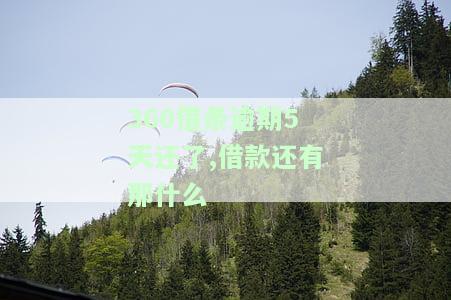 逾期5天还了，借款还有哪些后果？会收取逾期费用并可能影响信用记录。