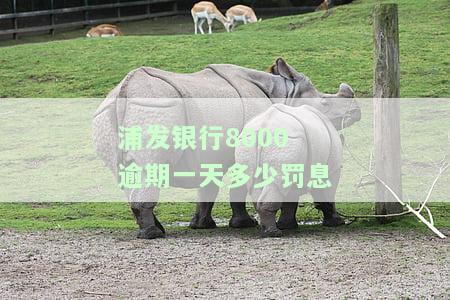 浦发银行逾期一年、金额5000是否会被告？答案在此！