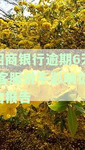招商银行逾期6天：客服称不影响征信报告，真的吗？逾期4天会受影响吗？需不需要联系客服？