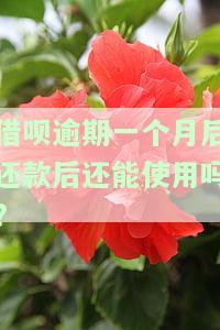 借呗逾期一个月后还款，能否继续使用？会有影响吗？