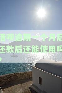 借呗逾期一个月后还款，能否再次使用？——知乎讨论
