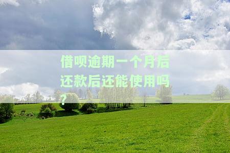 借呗逾期一个月后还款后还能使用吗?-借呗逾期一个月后还款后还能使用吗安全吗