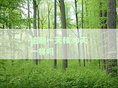 逾期一天和30天一样吗