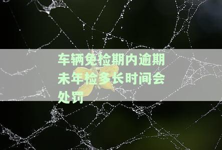 免检车逾期未检验会扣分吗？处理办法与处罚措全解析