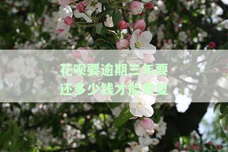 花呗逾期三年需还多少恢复征信？还款后多久能重新使用？