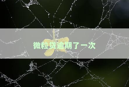 微粒贷逾期了一次-微粒贷逾期了一次就永远不能借款了吗