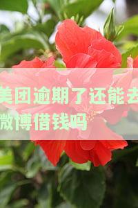 美团逾期后还能在微博借钱吗？知乎上的观点是什么？