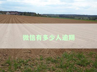 微信逾期的后果：立案金额、无力偿还解决方案全解析