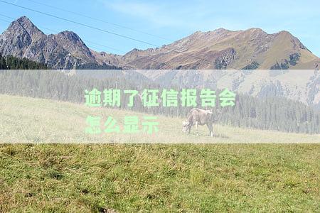 逾期了，征信报告会如何显示？