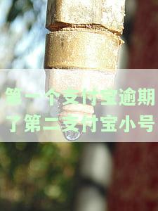 第一个支付宝逾期会影响第二个支付宝小号吗？如何处理逾期问题？