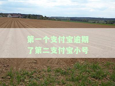第一个支付宝逾期会在另一个支付宝扣款吗？了解风险及处理方法