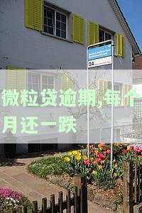 微粒贷逾期一个月，现要求一次性还清，该怎么办？