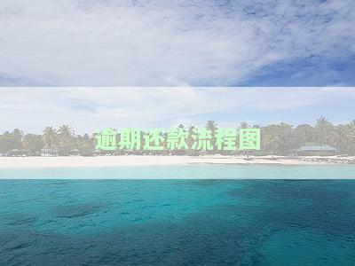 逾期还款流程图-逾期还款流程图片