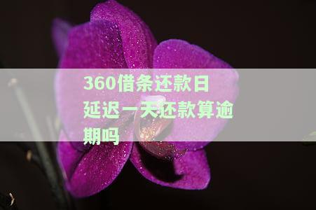 还款晚了一天，有何后果？能否恢复额度？