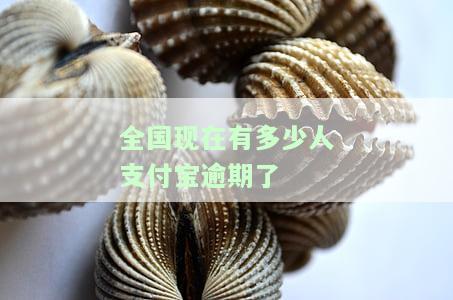 2023年支付宝逾期人数统计：数量多少？