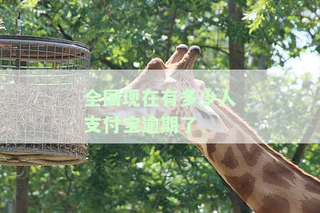全国现在有多少人支付宝逾期了