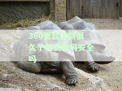 360贷款逾期多久会被起诉？会有什么后果？已报警，真还不上怎么办？逾期几天会上征信？紧急联系人电话是否会被打？
