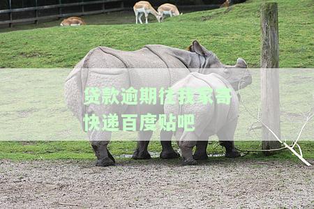 贷款逾期寄邮件：合法操作与注意事