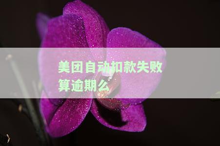 美团自动扣款失败算逾期吗？遇到这种情况应该怎么办？在知乎上有没有相关解答？需要如何处理呢？
