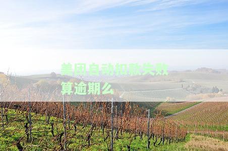 美团自动扣款是怎么回事？为何会自动扣钱？如何解决这个问题？