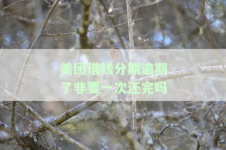 美团借钱分期逾期了非要一次还完吗-美团借钱分期逾期了非要一次还完吗怎么办