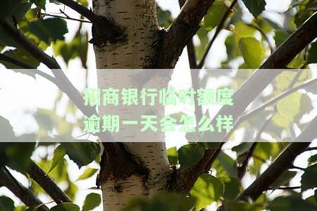 招商银行临时额度逾期一天后还款，还能再次申请吗？逾期是否会影响征信？