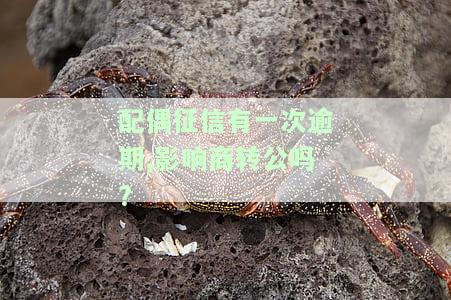 配偶征信有逾期记录会影响房贷申请吗？