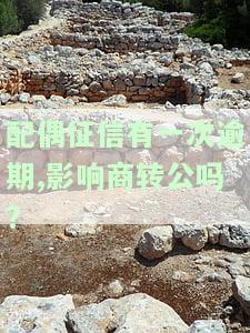 配偶征信逾期会体现对方征信吗？影响买房贷款吗？