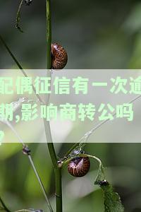配偶征信有一次逾期,影响商转公吗?