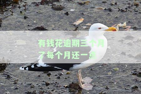 有钱花逾期3个月、一万多是否会被告上法庭？已有用户被起诉