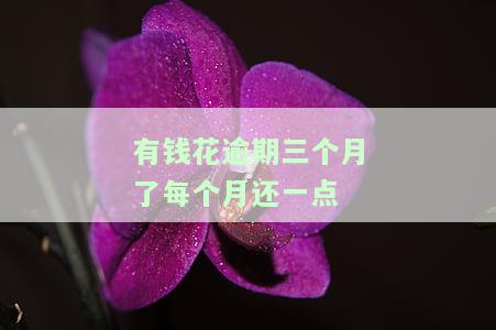 有钱花4000多逾期3个月：可能面临的后果与解决方案