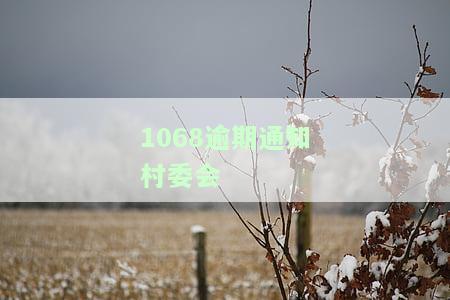 逾期收到短信，是否应去村委会调解？真的有效吗？