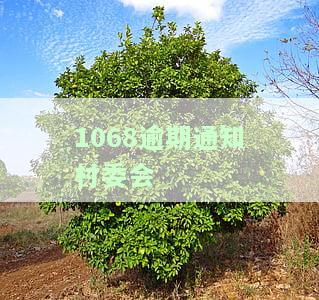 1068逾期通知村委会-逾期通知村委会了