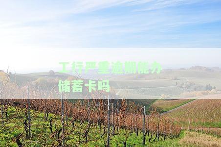 工行严重逾期能否办理蓄卡？现在的情况如何？