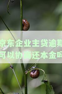 京东企业主贷：宽限期、额度提升及是否上征信全解析