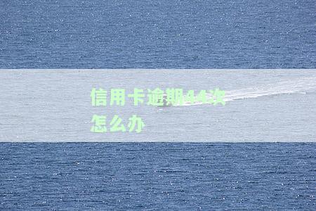 信用卡逾期44次怎么办？逾期40天有何影响？信用卡4000元逾期1个月如何解决？
