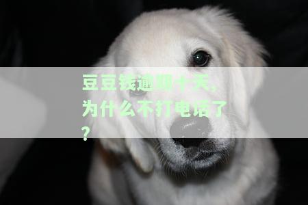 豆豆钱逾期8天：接到解约电话，需一次性还清全款与违约金