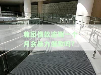 美团借款逾期一次会影响个人征信吗？逾期记录多久能消除并再次借款？
