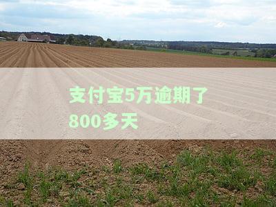 支付宝5万逾期800天的严重后果及应对措