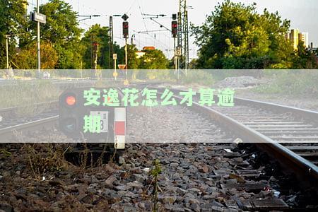 安逸花逾期后如何查询剩余未还款金额及是否上征信？期还款申请步骤及逾期后果详解